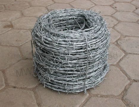 Barbed Wire